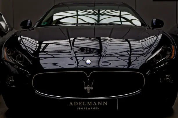 BingoFling Cazino Cazinou Aplicație Android/iOS